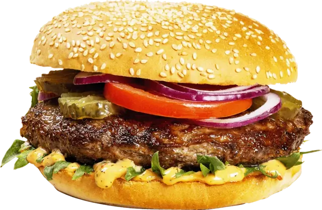 Hamburger 100 g